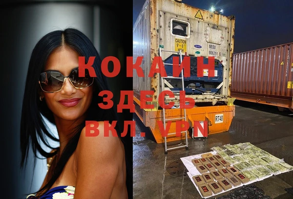 сатива Балахна