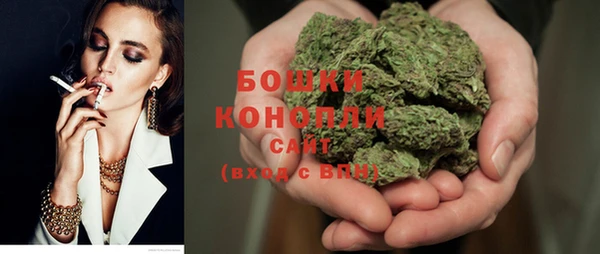 PSILOCYBIN Баксан