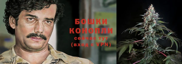 сатива Балахна