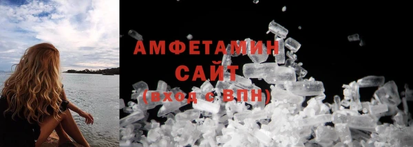 сатива Балахна