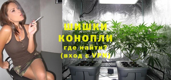 сатива Балахна