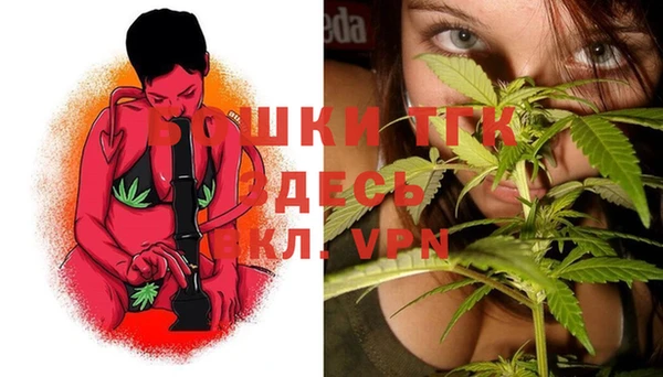 PSILOCYBIN Баксан