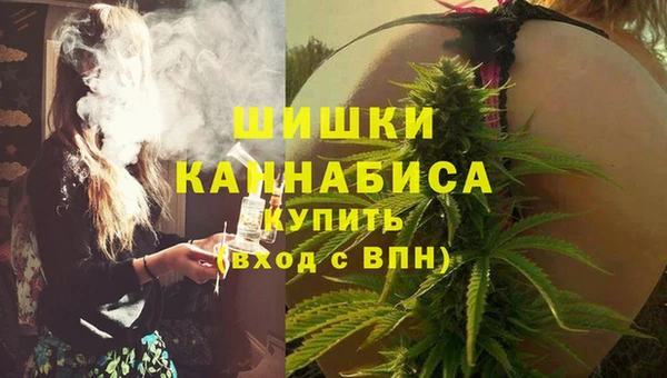 PSILOCYBIN Баксан