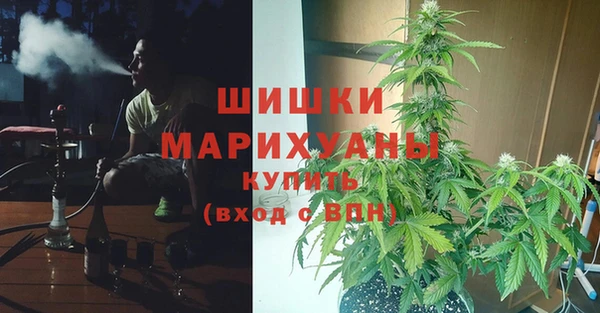 PSILOCYBIN Баксан