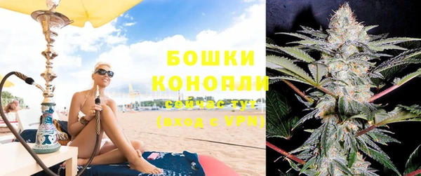 сатива Балахна