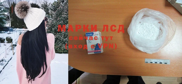сатива Балахна