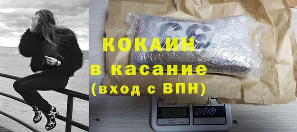 сатива Балахна