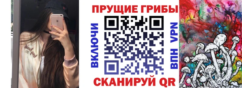 Галлюциногенные грибы ЛСД  Новомичуринск 